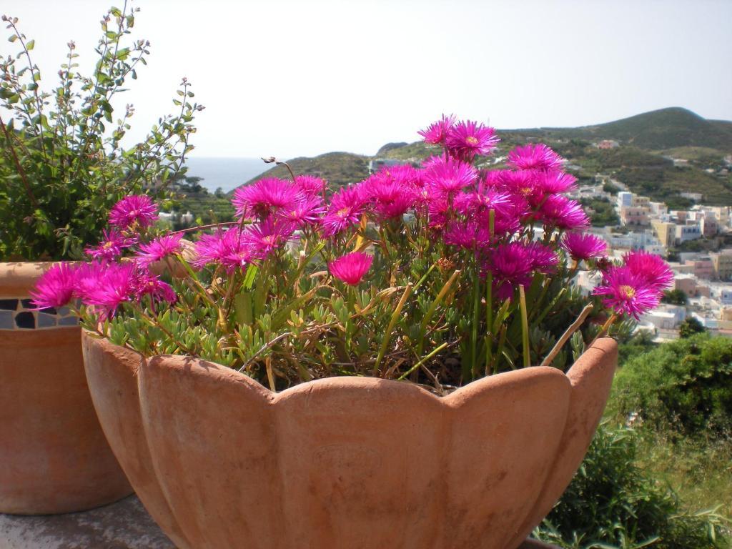 Villa Pina Ponza Exterior photo